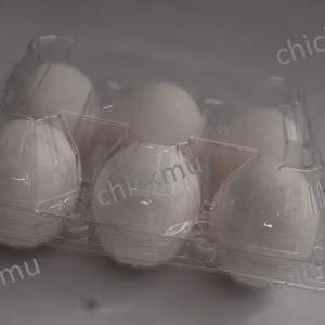 regular-eggs-chickmu