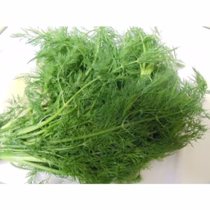 sava ni bhaji dill leaves 1 kg