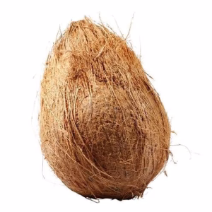 Brown Raw Coconut 1 PC