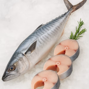 sea king fish near me